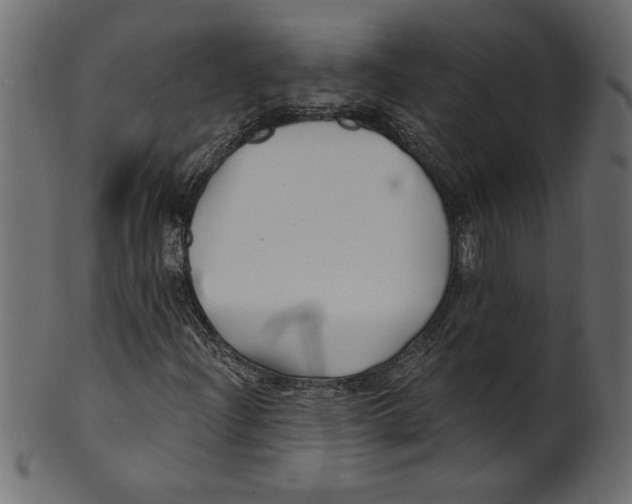 X0000100871204200807181229
