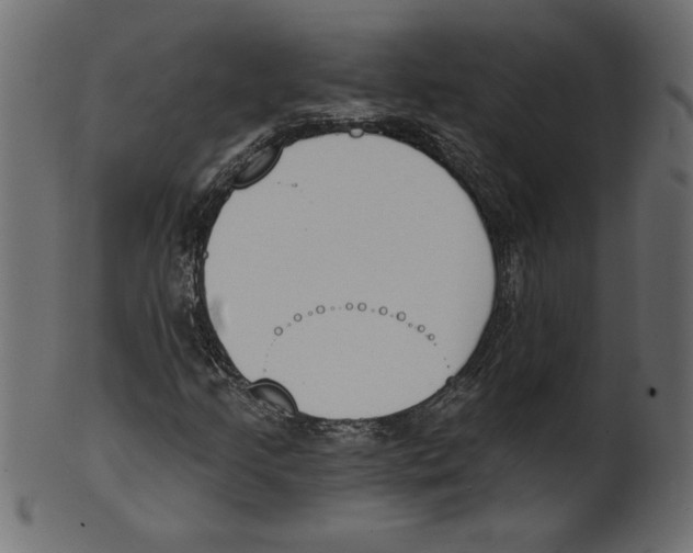 X0000100871205200807181229