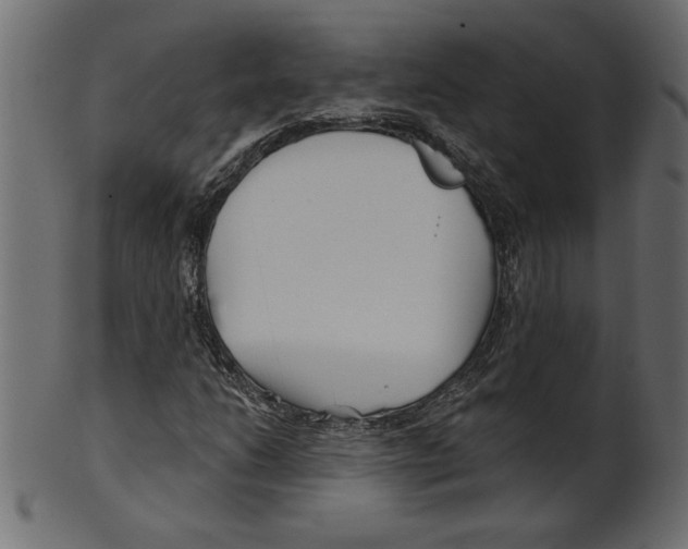 X0000100871206200807181229