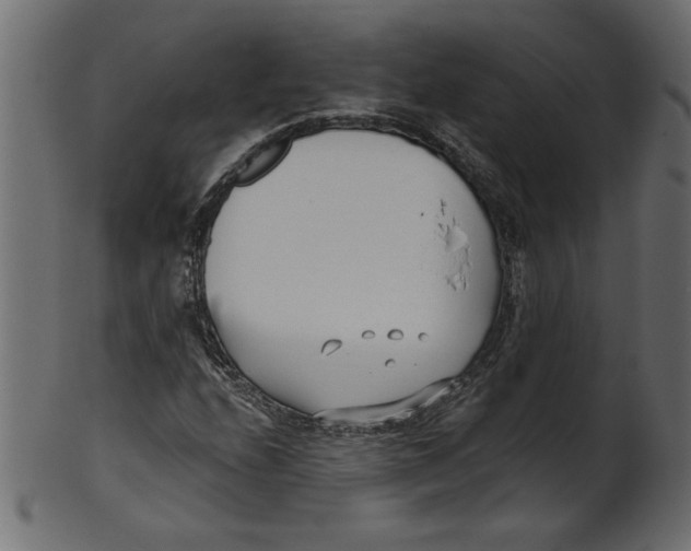 X0000100871208200807181229