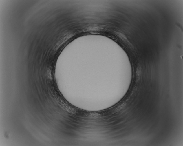 X0000100871209200807181229