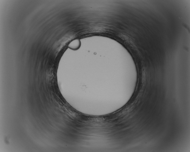 X0000100871210200807181229