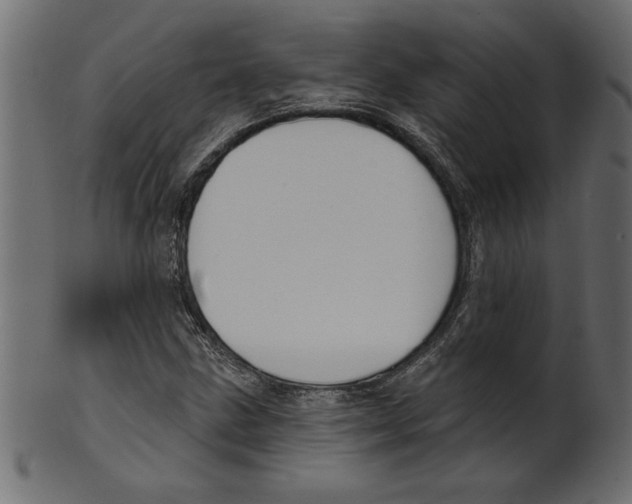 X0000100871211200807181229