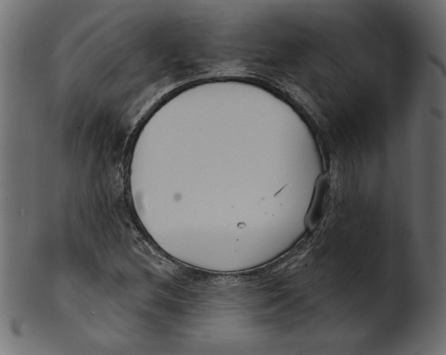 X0000100871212200807181229