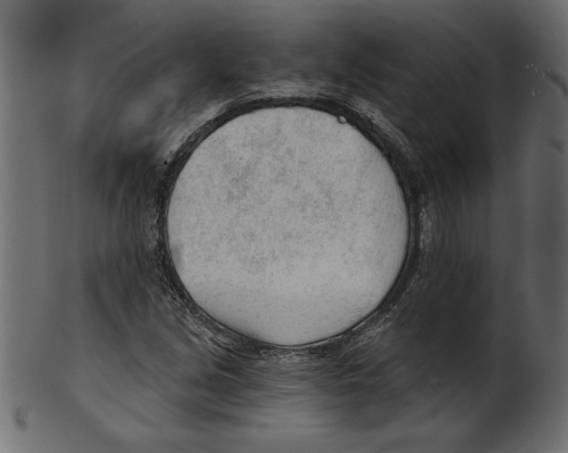 X0000100871213200807181229
