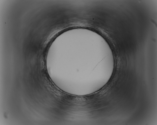 X0000100871215200807181229
