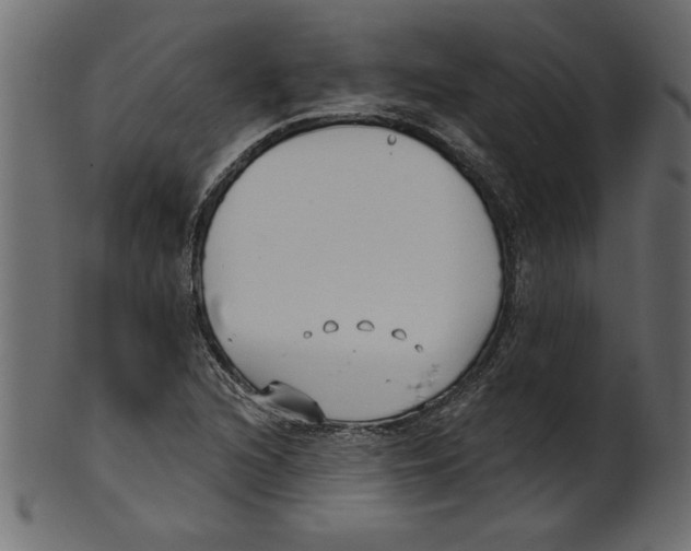 X0000100871216200807181229
