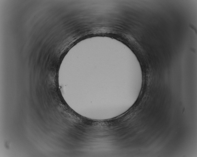 X0000100871217200807181229