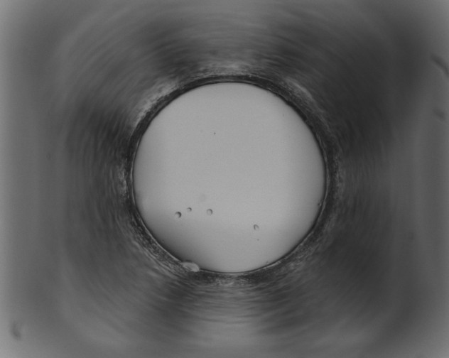 X0000100871218200807181229