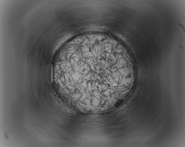 X0000100871219200807181229
