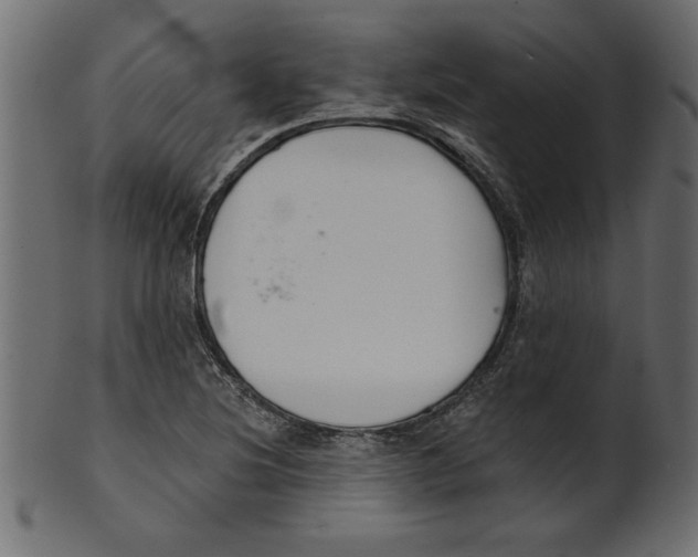 X0000100871220200807181229