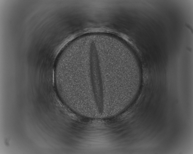 X0000100871221200807181229