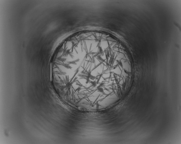 X0000100871223200807181229