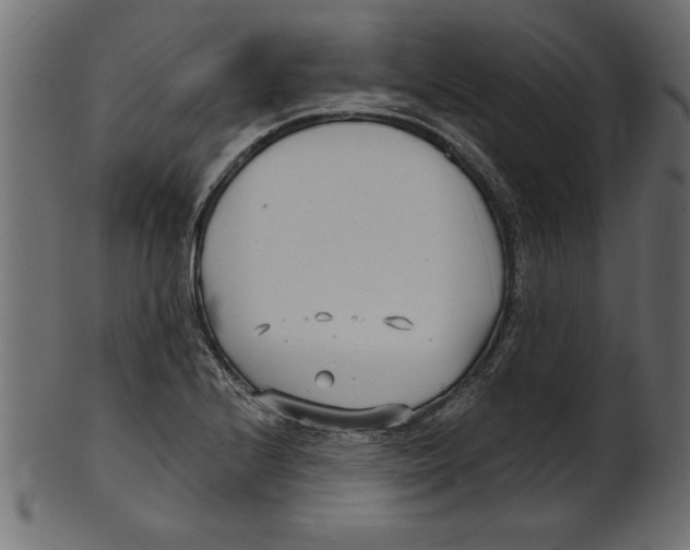 X0000100871224200807181229