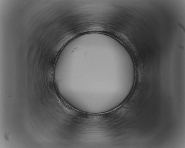 X0000100871225200807181229