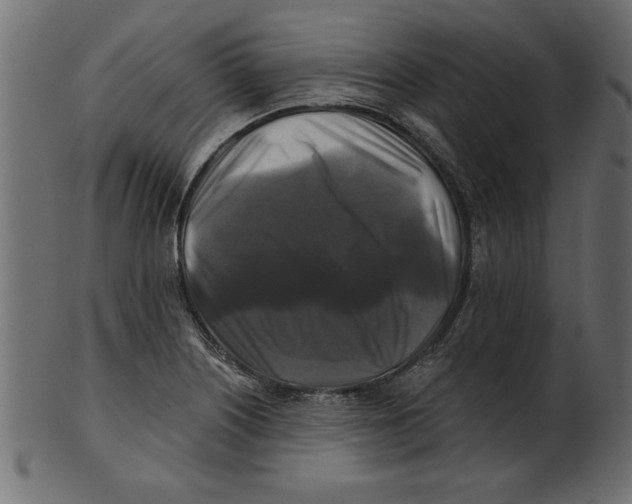 X0000100871226200807181229