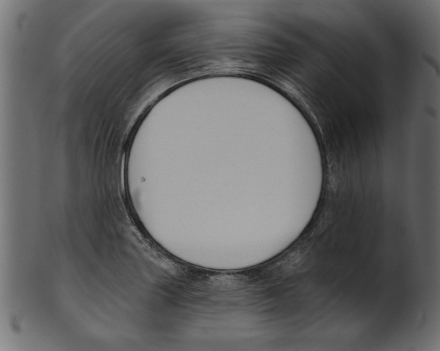 X0000100871227200807181229