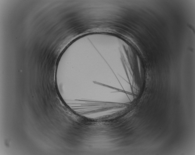 X0000100871228200807181229
