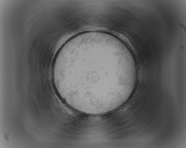 X0000100871231200807181229