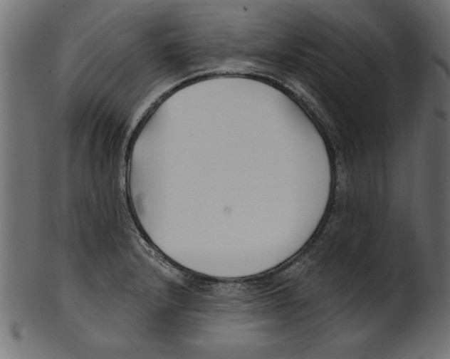 X0000100871232200807181229