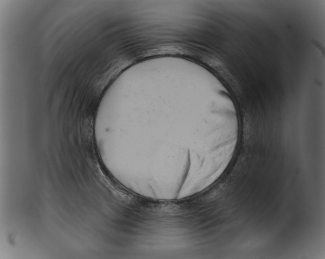 X0000100871233200807181229