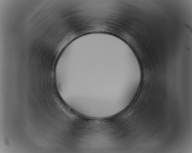 X0000100871234200807181229