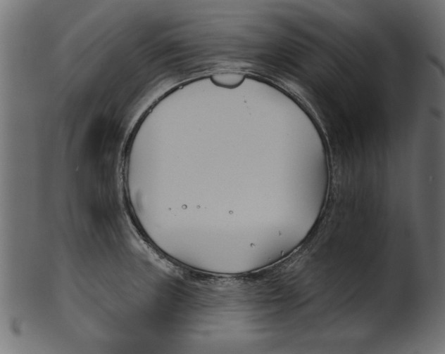 X0000100871235200807181229