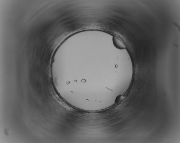 X0000100871236200807181229