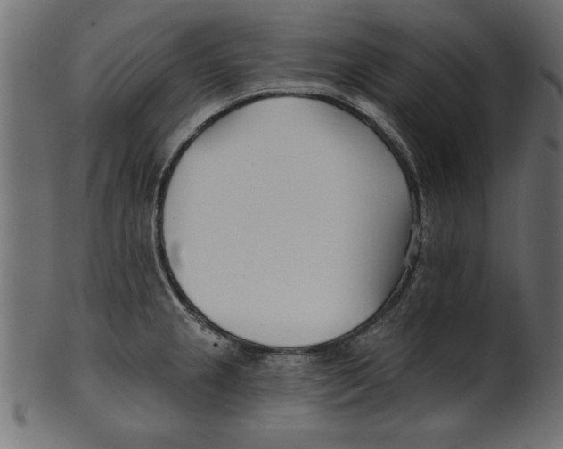 X0000100871237200807181229