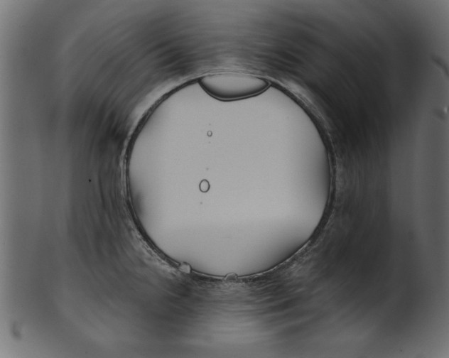 X0000100871238200807181229