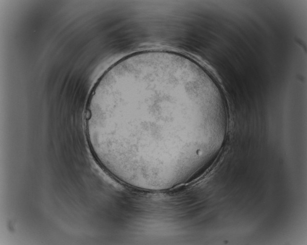 X0000100871239200807181229