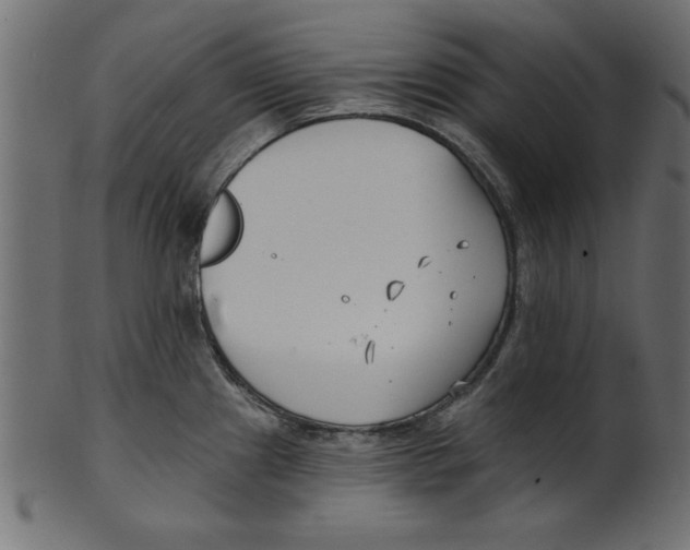 X0000100871241200807181229