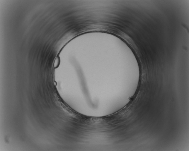 X0000100871242200807181229