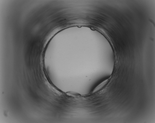X0000100871243200807181229