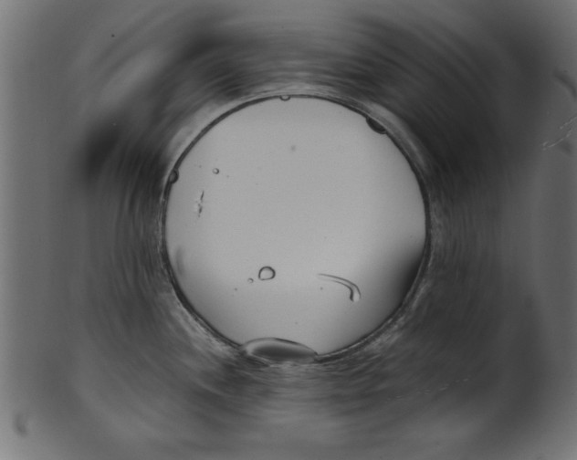 X0000100871244200807181229