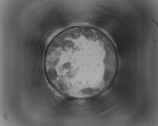 X0000100871245200807181229