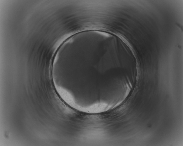 X0000100871246200807181229