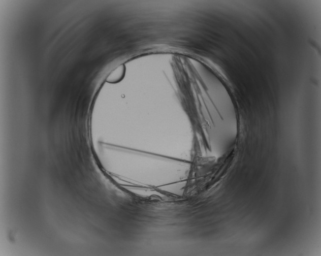 X0000100871247200807181229