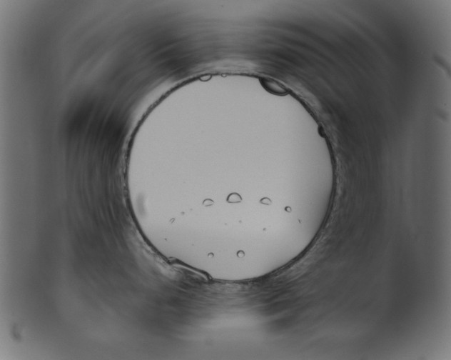 X0000100871248200807181229