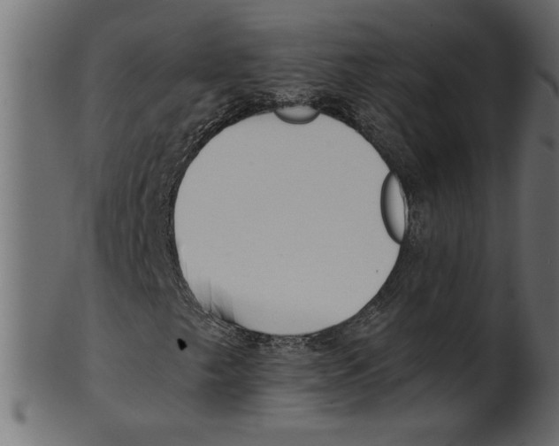 X0000100871249200807181229