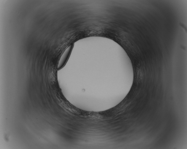 X0000100871250200807181229