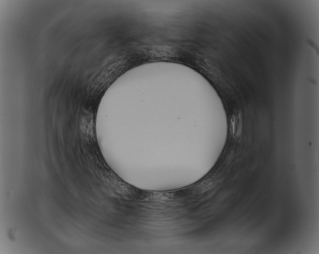 X0000100871251200807181229