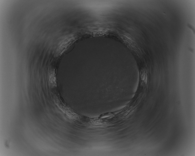 X0000100871252200807181229
