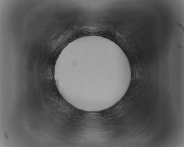 X0000100871253200807181229