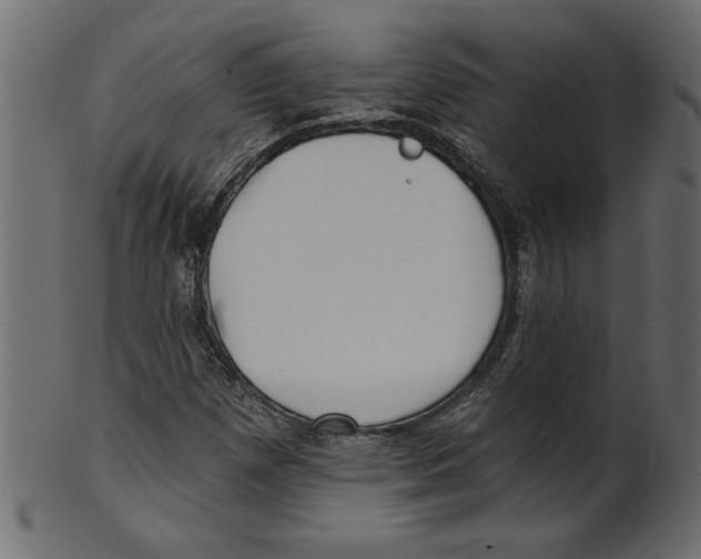 X0000100871257200807181228