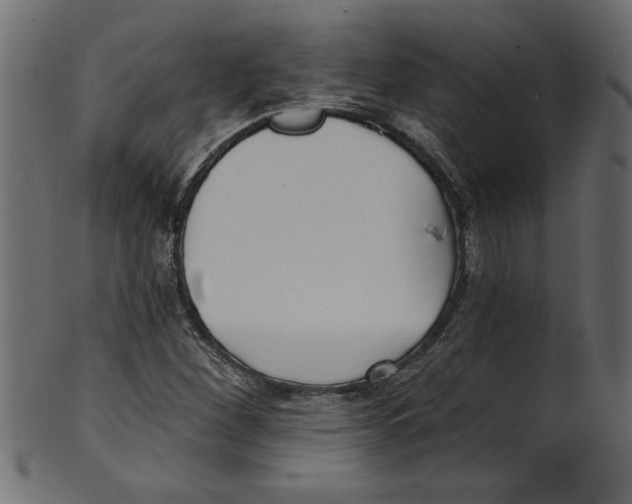 X0000100871260200807181228