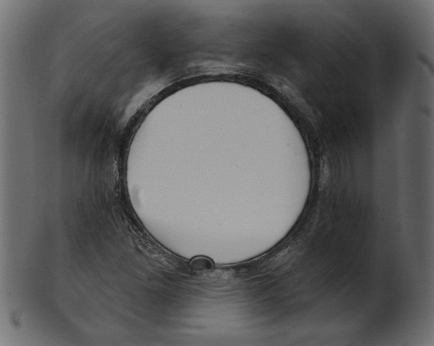 X0000100871261200807181228