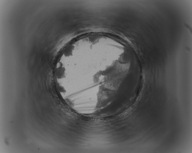 X0000100871263200807181228