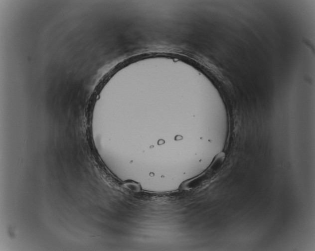 X0000100871264200807181228