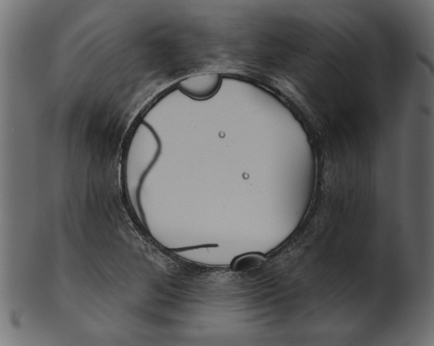 X0000100871268200807181228